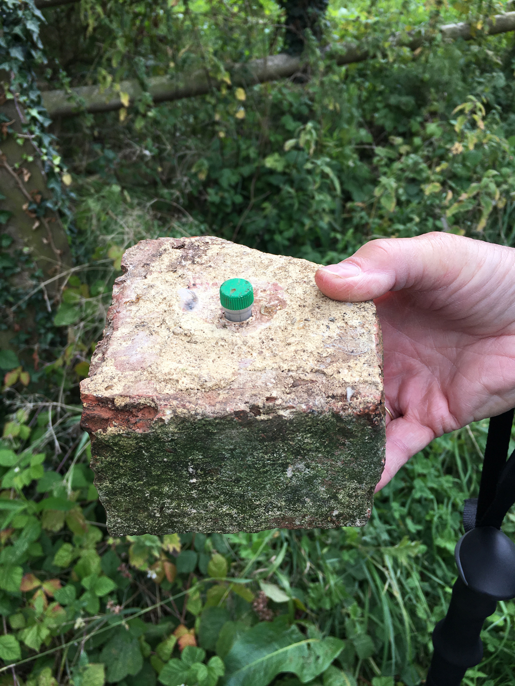 Our 500th Geocache Find
