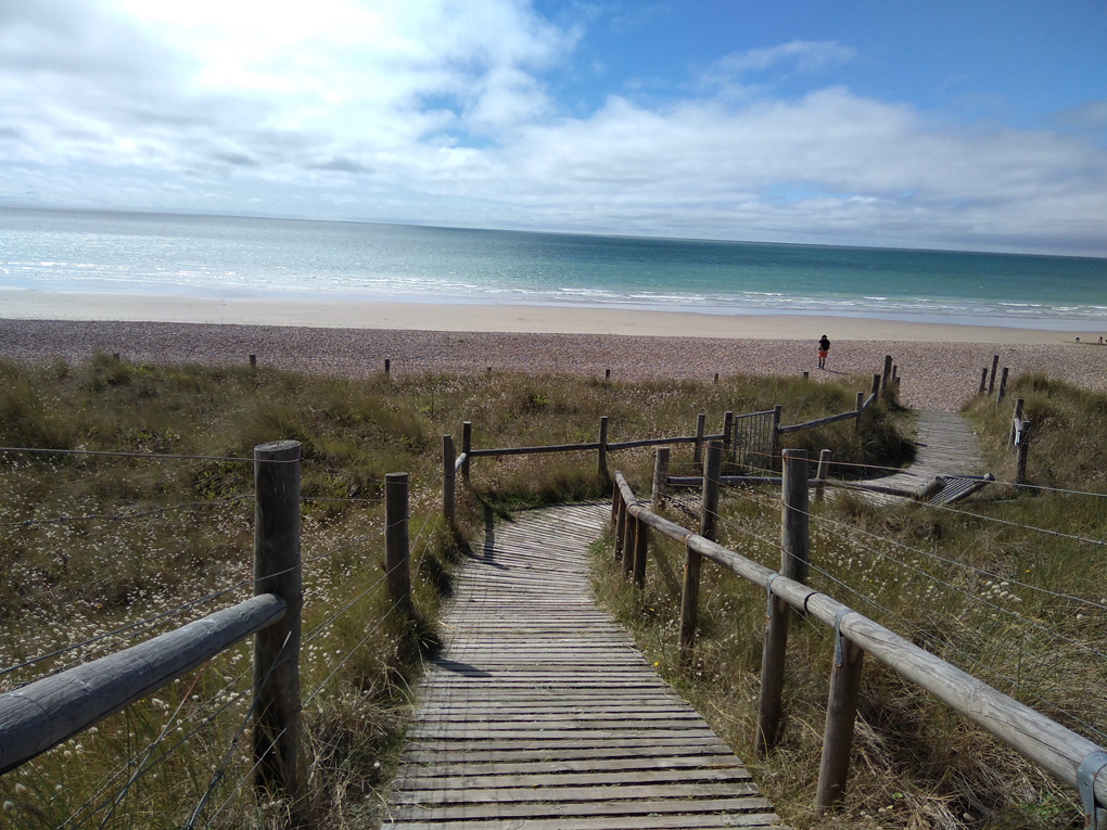 A path over the dunes leading to an emty beach bathed in sunshine