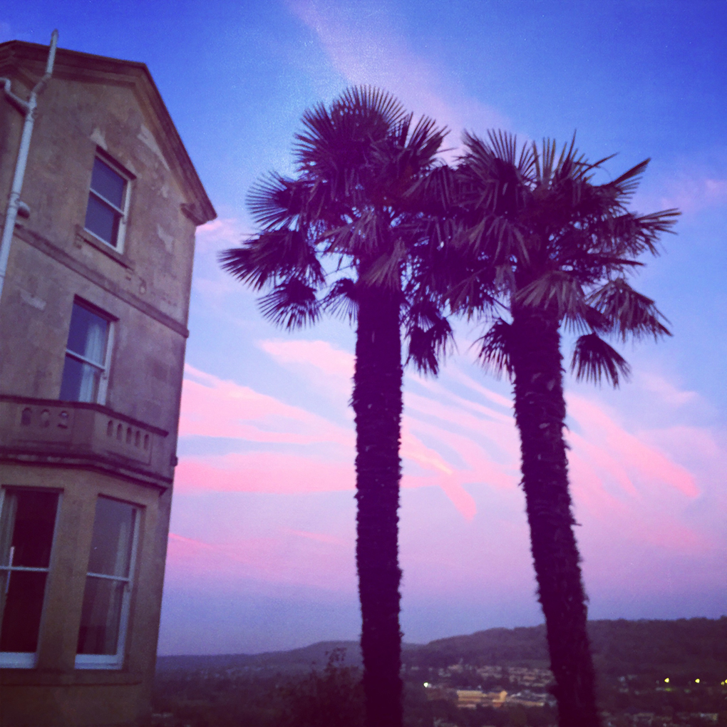Two palm trees next to a house in Bath, with a colourful sunset