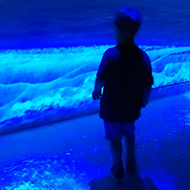 boy standing in blue light looking at a picture of a pyramid