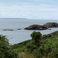 View of Pembrokeshire coastal path towards the sea. Rocks, ferns and distant walkers.