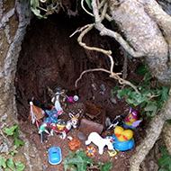 A fairy grotto in the base of a tree.