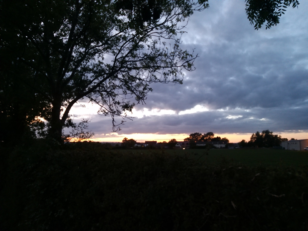 Sunset colours mixed with clouds and the dark outline of a tree