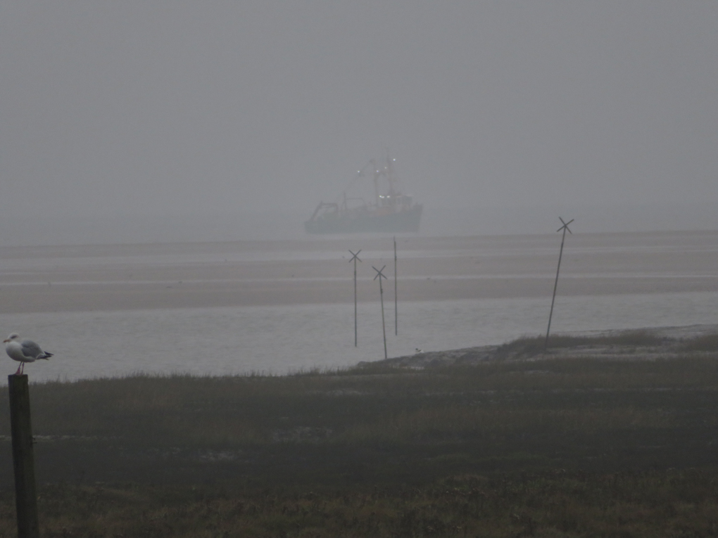 We see acrosss the marshes to a Trawler fishing close to the entrance of Thornham harbour, North Norfolk