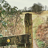 A wooden footpath marker with yellow arrow points the way to a grassy path between two fields stretching into the distance.
