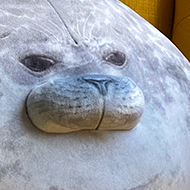 A plush toy that looks like a very, very round seal