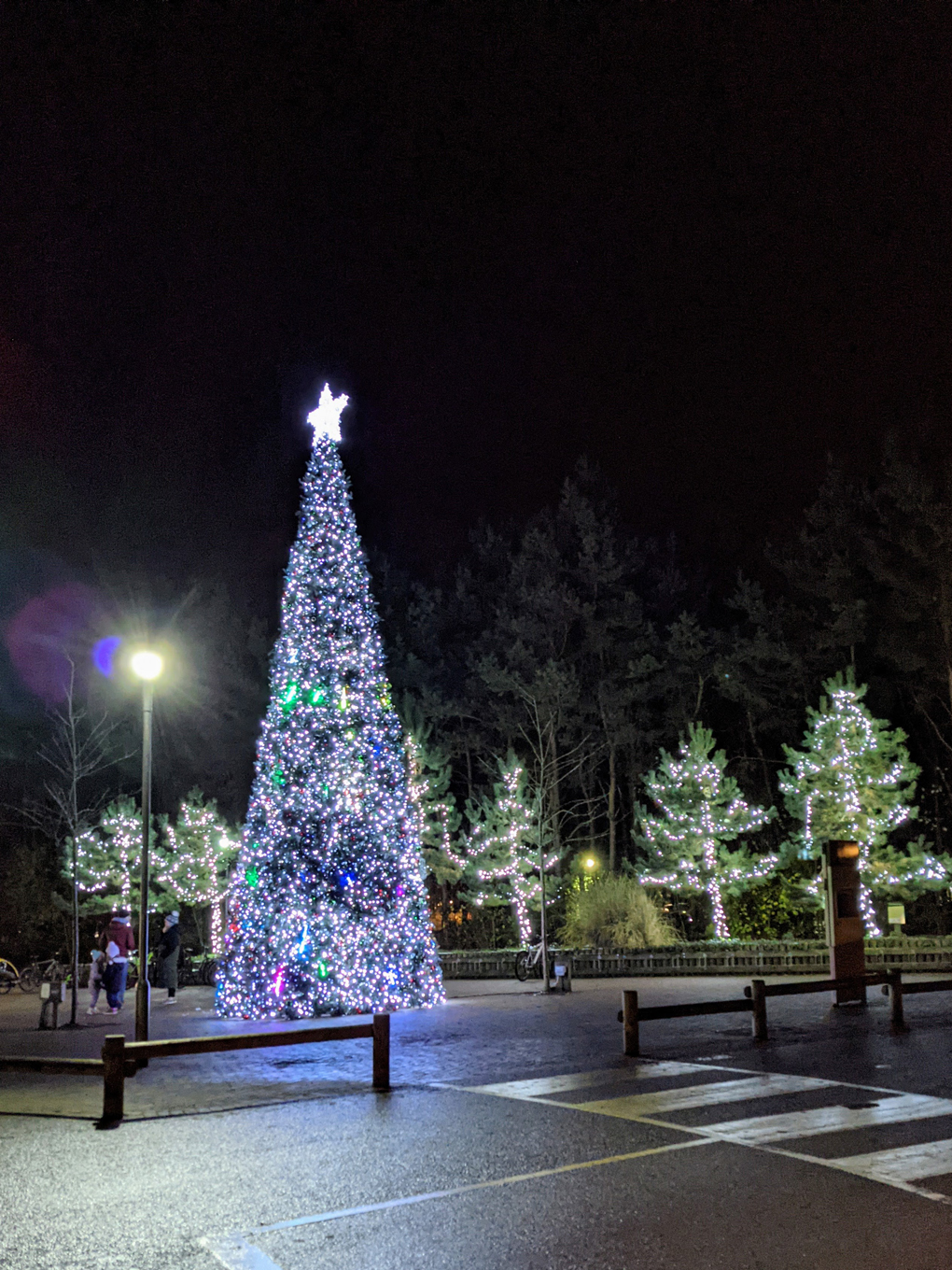 Christmas lights at Center Parcs.