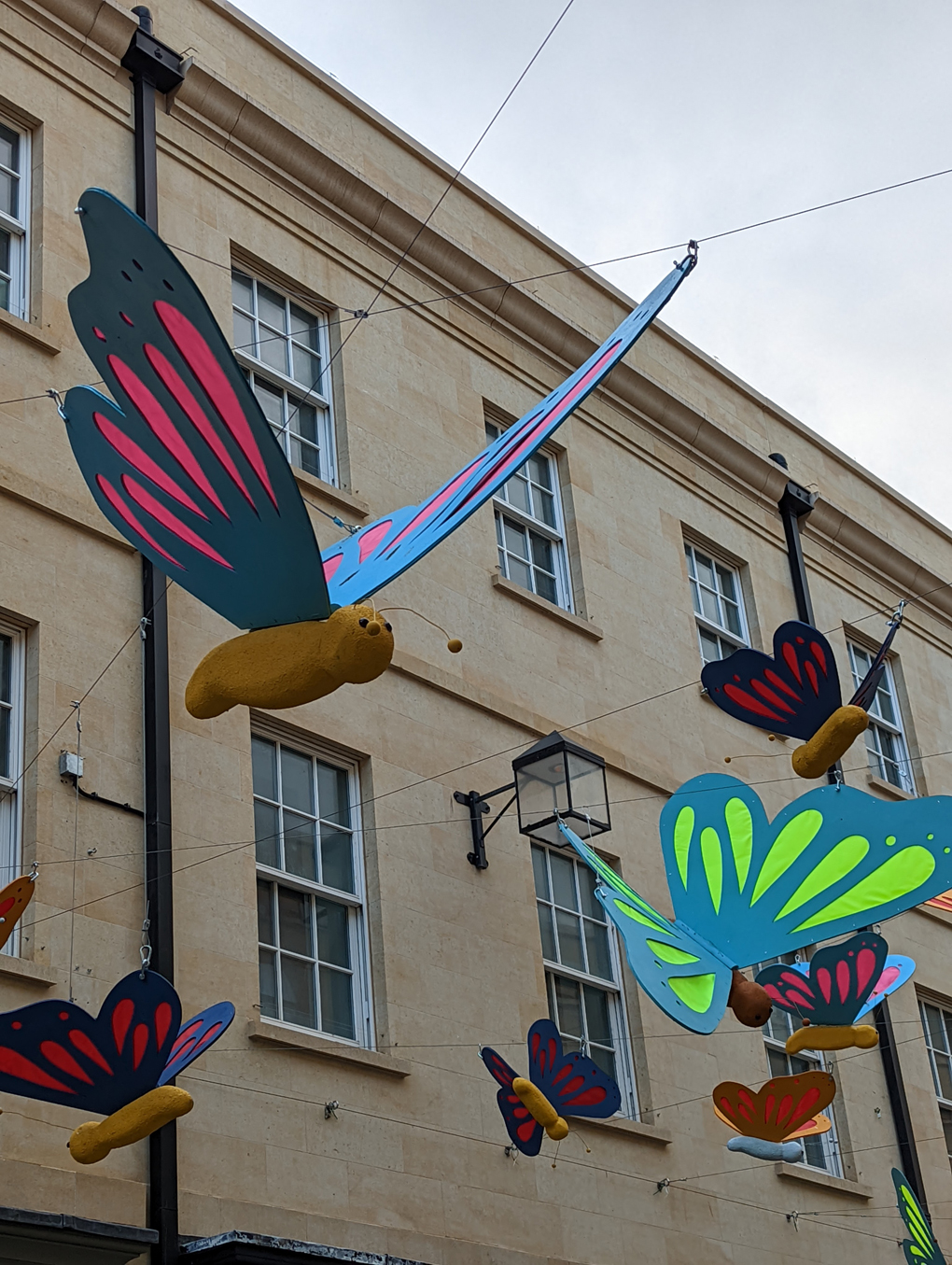 Large model butterflies hanging in a street in Bath