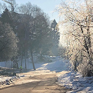 Small road in the winter