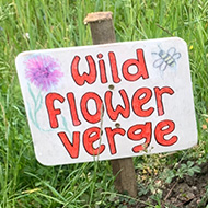 Dog and wild flower verge with sign.