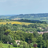 A wide view of rolling green hills under the sunshine, with flowering fields, trees and houses
