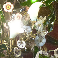 Illuminated lily flowers form part of an extensive floral style chandelier, complete with translucent green leaves, in one of the rooms at Osborne House, Isle of Wight.