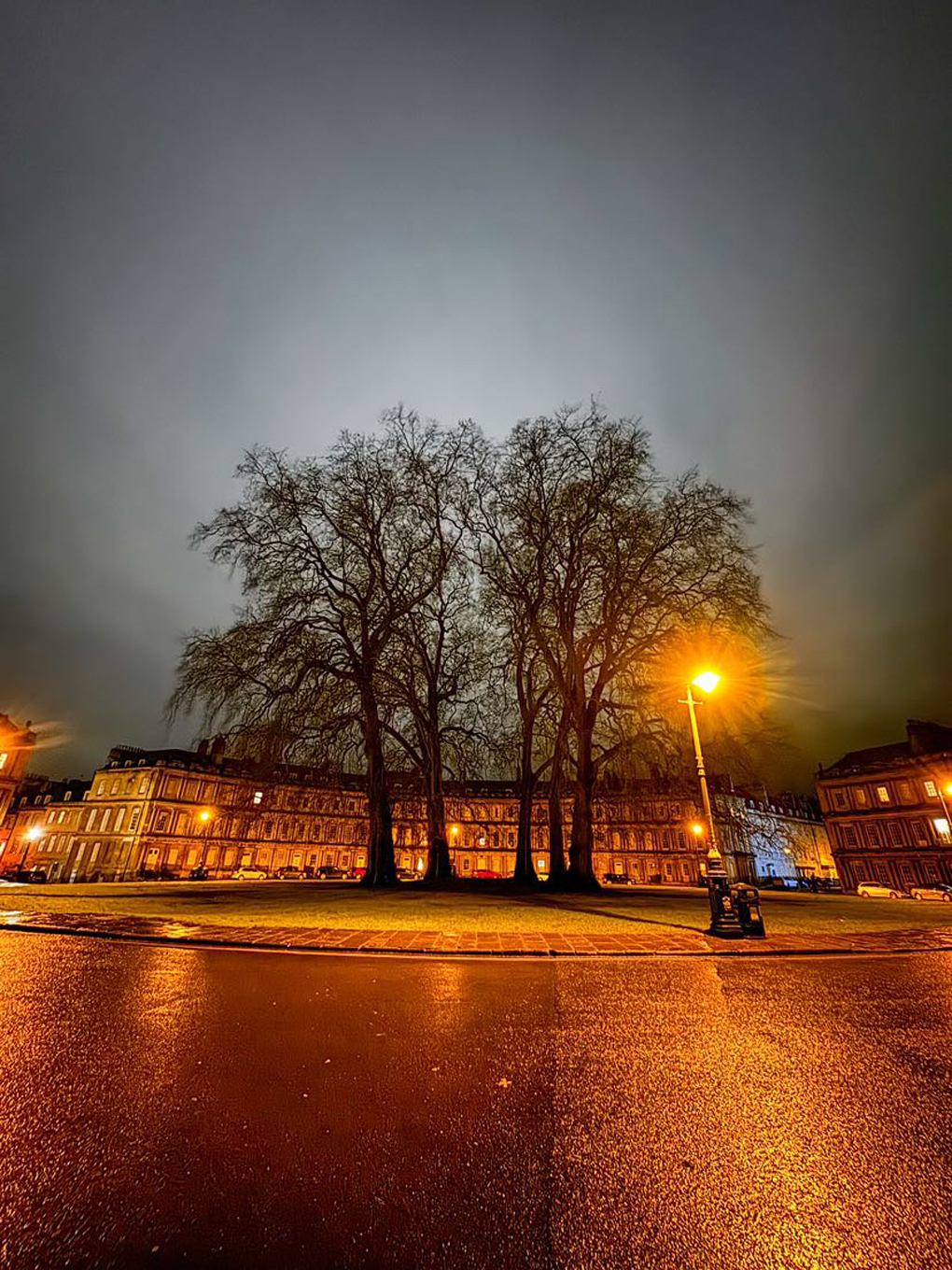 The silhouette of two tall, skeletal trees in a small park in front of buildings, backlit by a full moon heavily diffused by dense cloud cover