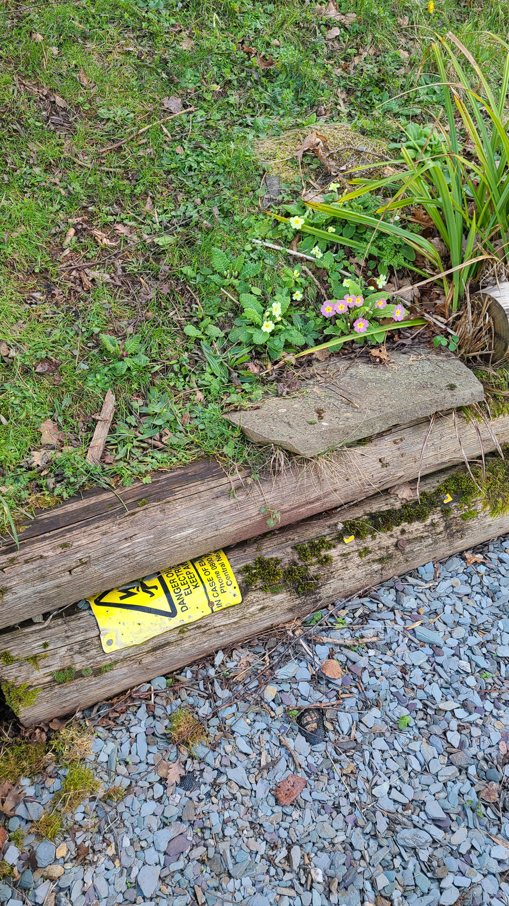 Green grass in the top with spring flowers. An old electric pole is diagonally across the picture, half of the yellow safety sign showing. The bottom third is grey/purple slate chips.