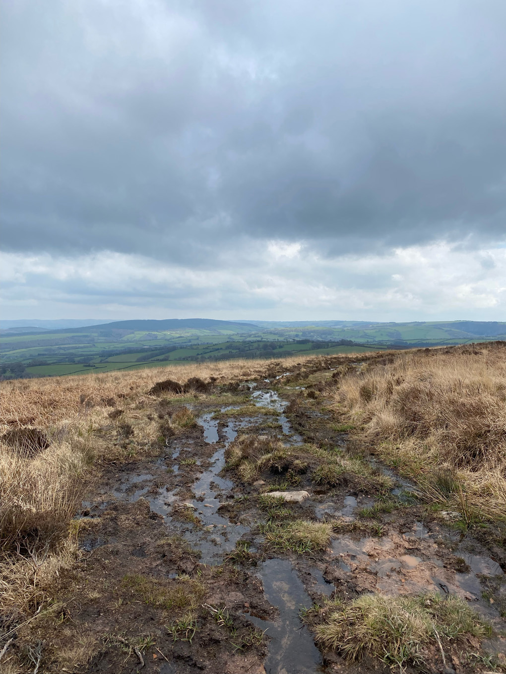 A muddy path across the moors of Exmoor, with rolling green hills and grey clouds in the background.