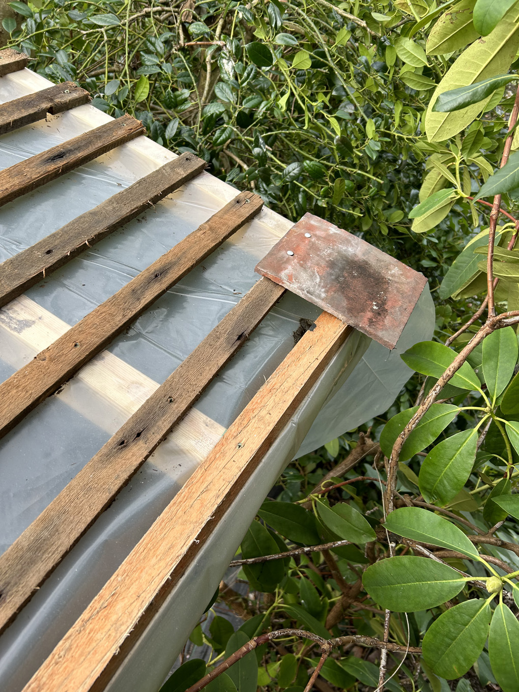 A tile attached to a wooden framed roof