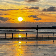 A bright golden orange sun beginning to set above a row of groynes protruding from wet sand flats