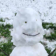 A small snowman with thin twigs for arms, thin twig smile and two small acorn like seeds for eyes