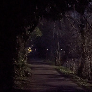 A dark canal path overhung with trees. A boat moored at the side of the path lit from the side and just a hint of blue still visible in the sky.