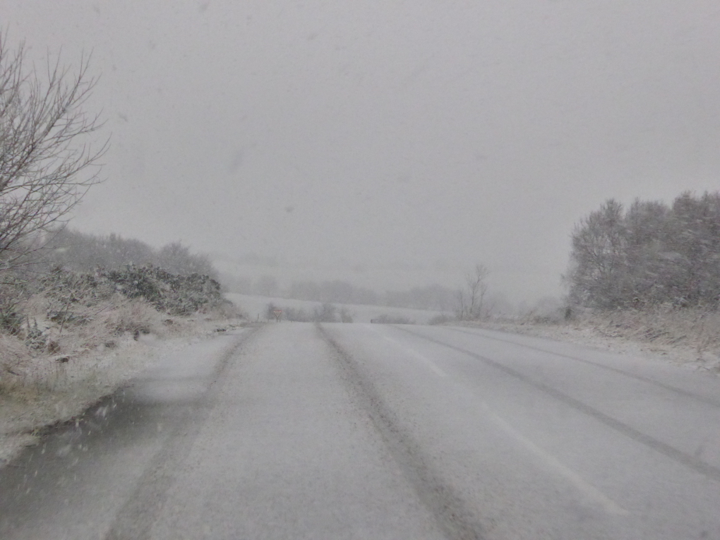 moors in the snow