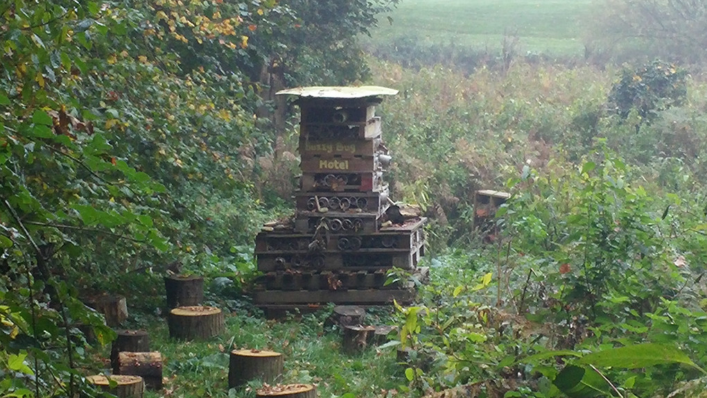 insect hotel