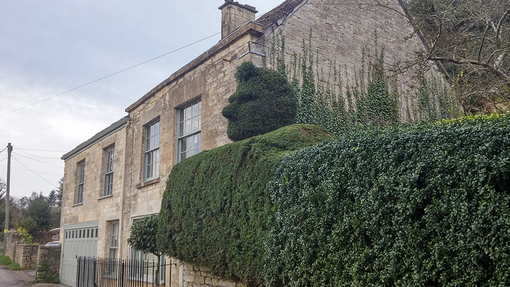 hedge cut to shape of a head