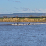 Severn Bore