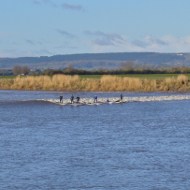 Severn Bore