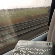 looking out a train window