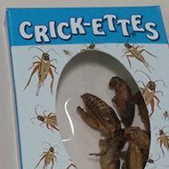 insect snacks