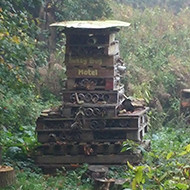 insect hotel