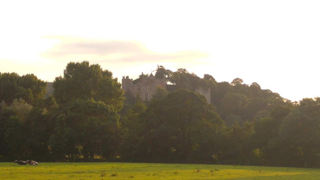 dunster castle