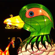 duck lantern