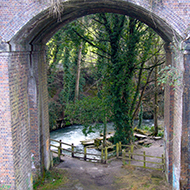 view of a river through railway arches