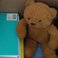teddy in a box