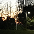 sunset behind trees