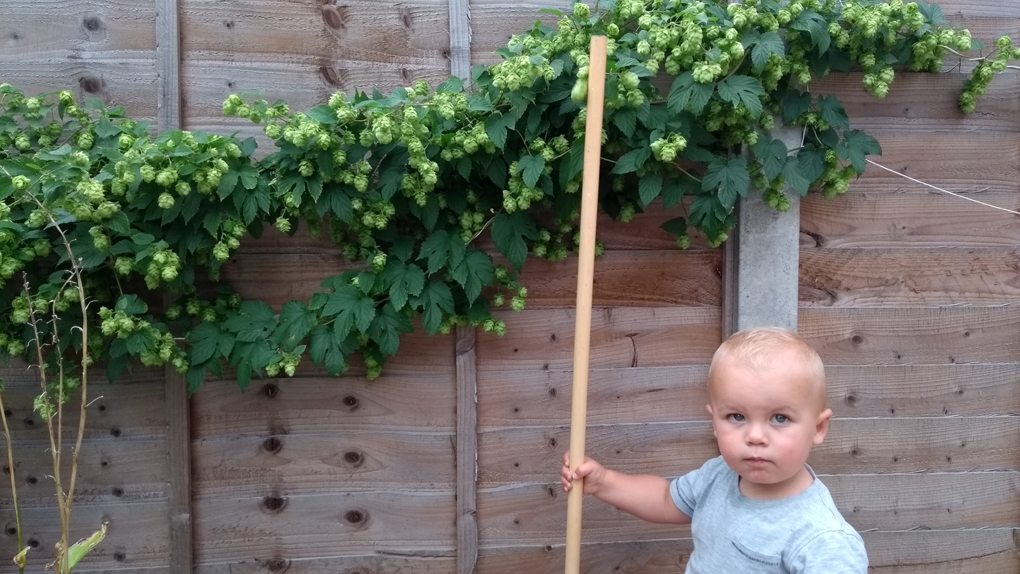 toddler gardening