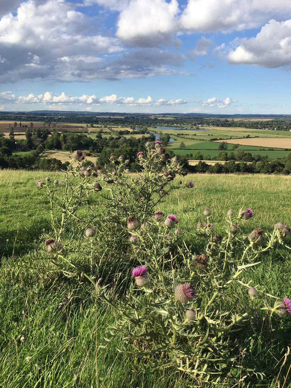 oxfordshire countryside