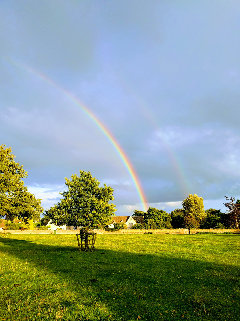 rainbow over common