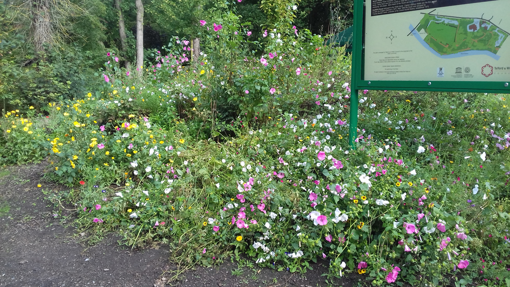 flowers by a sign