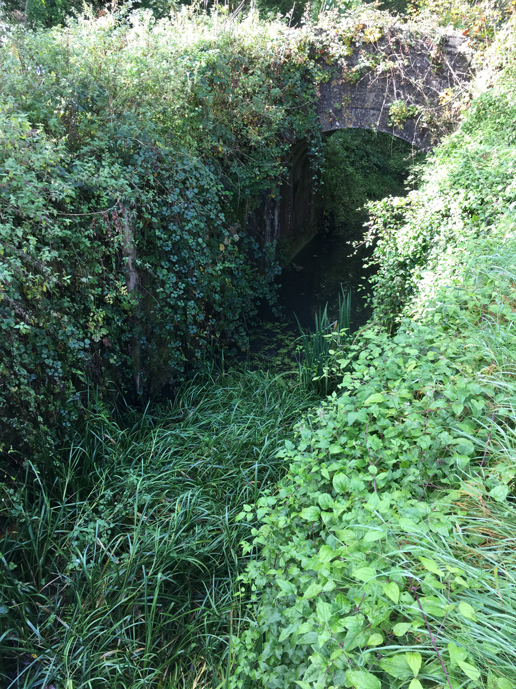 old bridge over a river