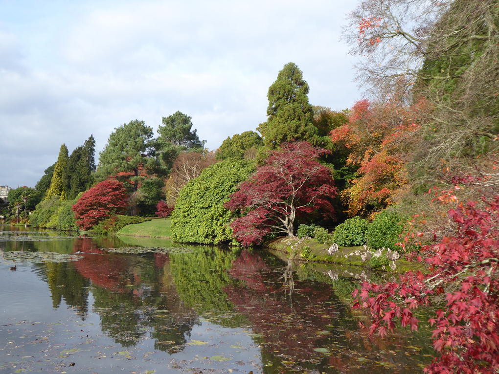 autumnal trees by a pond