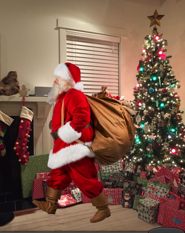 Santa by the tree