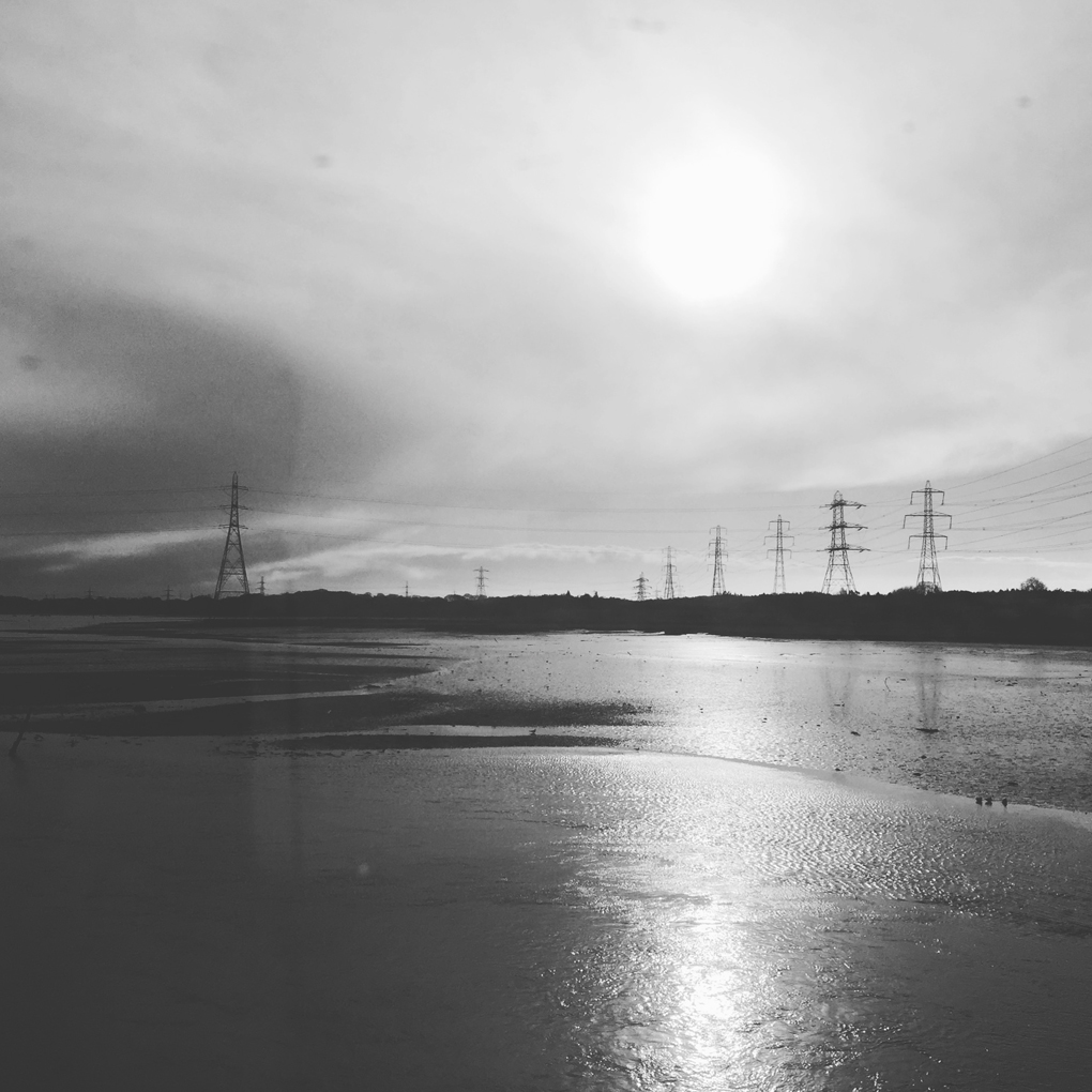 monochrome pylons in a field