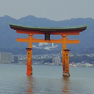 Floating Tori Gate