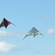 kites in the sky