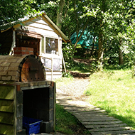 wood fired pizza oven