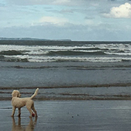 dramatic sky at the beach