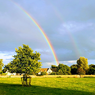 rainbow over common