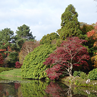 autumnal trees by a pond